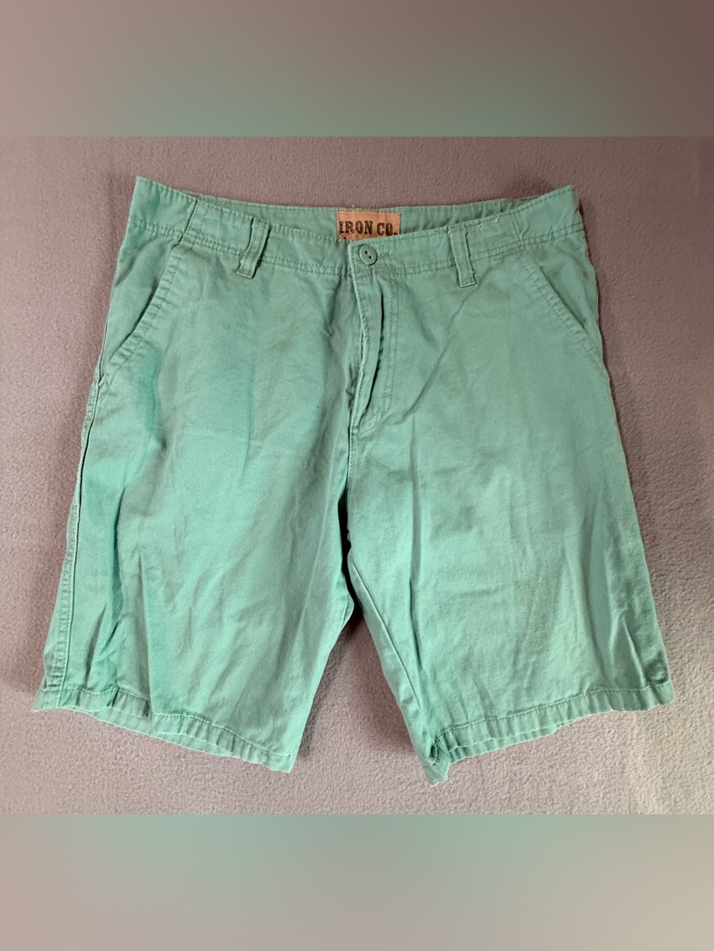 Iron Co. Mint Green Flat Front Men's Shorts